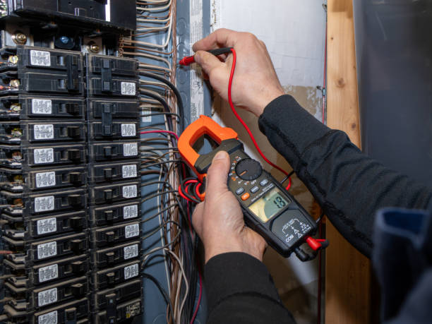 Best Electrical System Inspection  in South Sarasota, FL